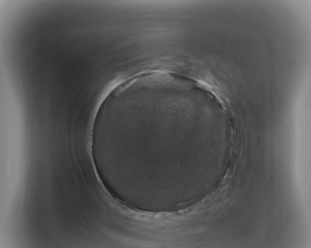 X0000111660003200907241201