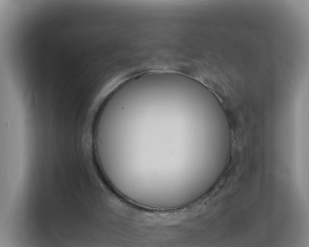 X0000111660005200907241201