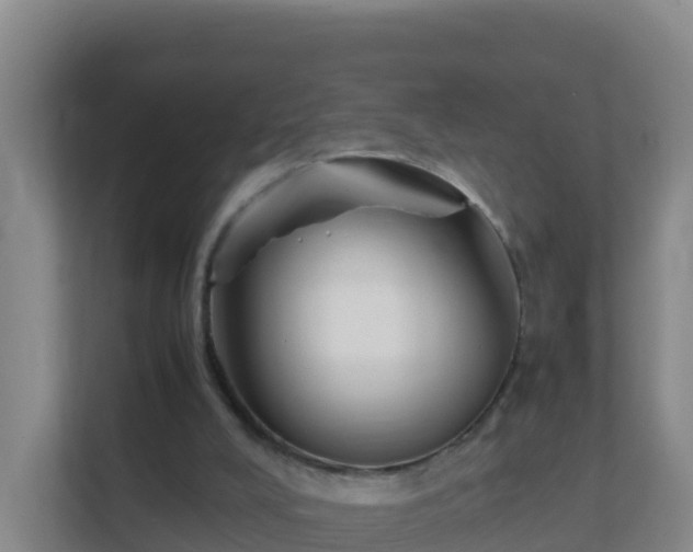 X0000111660008200907241201