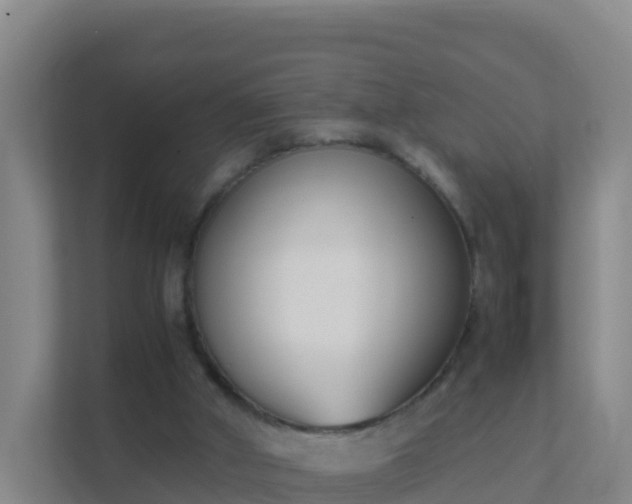 X0000111660010200907241201