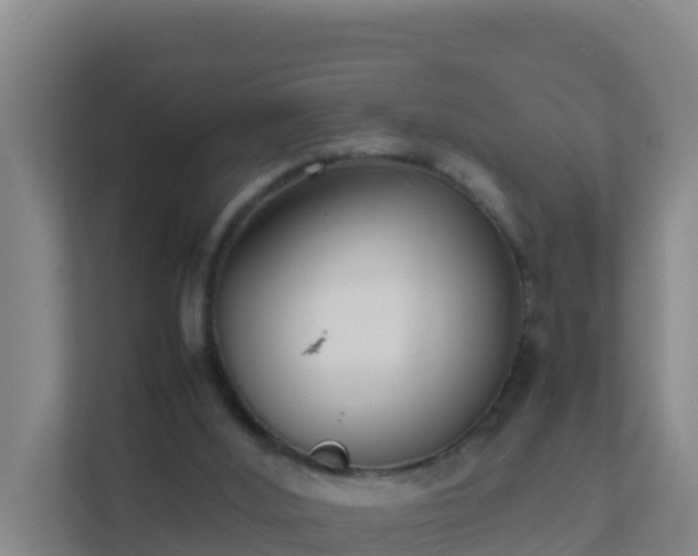 X0000111660012200907241201