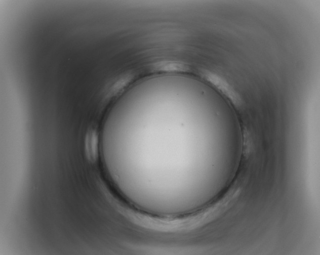 X0000111660014200907241201