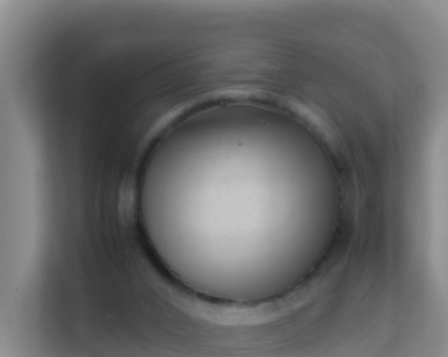 X0000111660016200907241201