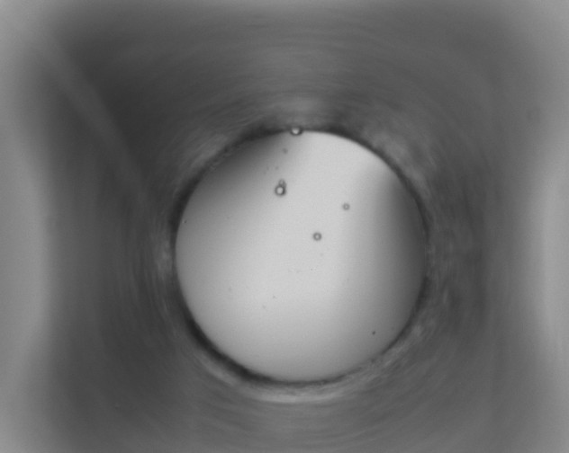 X0000111660017200907241201