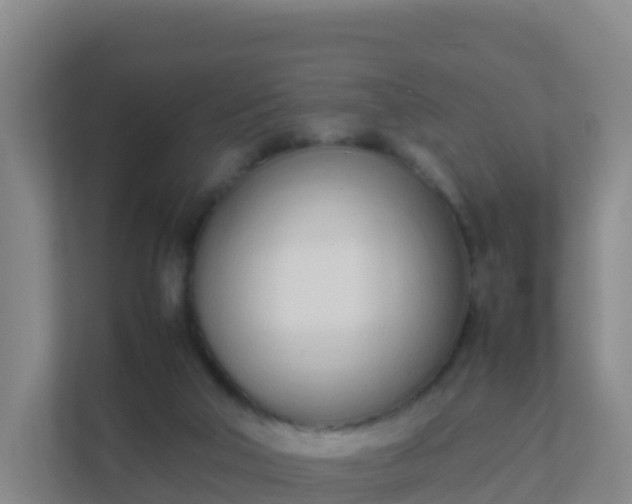 X0000111660018200907241201