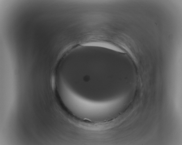 X0000111660019200907241201