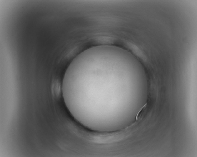 X0000111660021200907241201