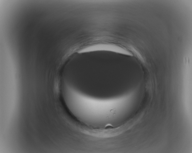 X0000111660023200907241201