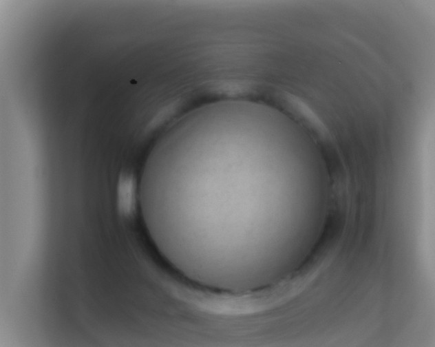 X0000111660024200907241201