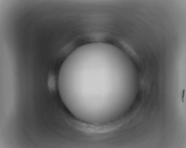 X0000111660026200907241201