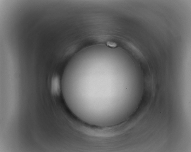 X0000111660028200907241201