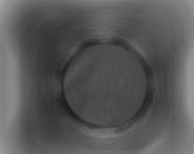 X0000111660032200907241201