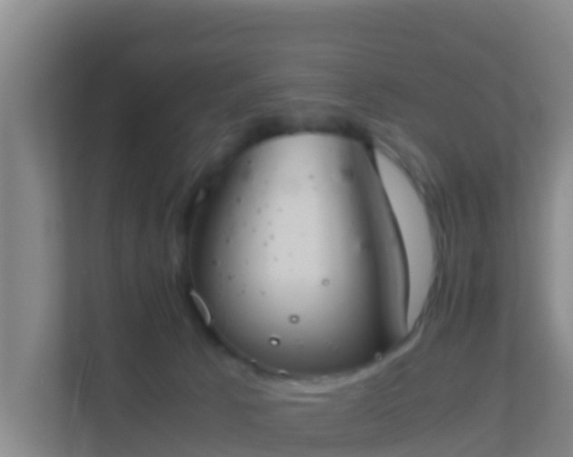 X0000111660033200907241201