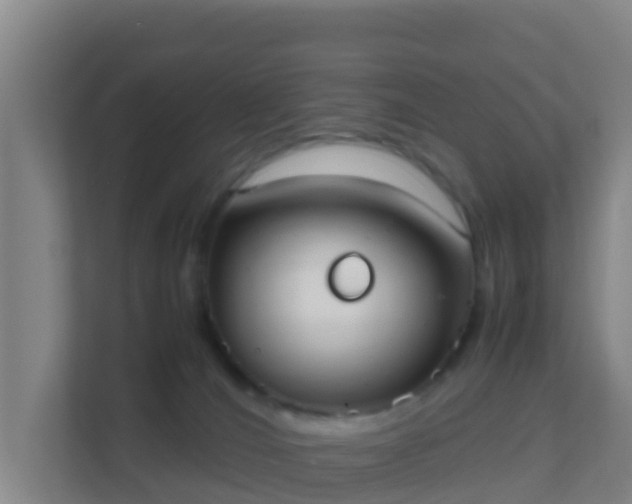 X0000111660036200907241200