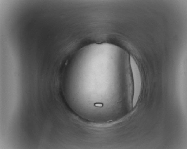 X0000111660037200907241200