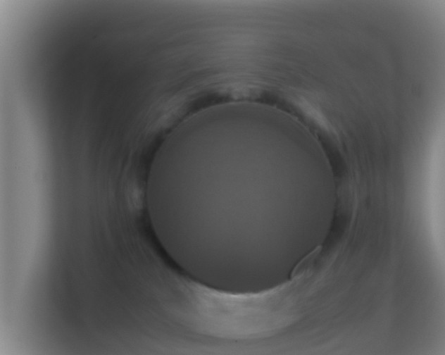 X0000111660039200907241200