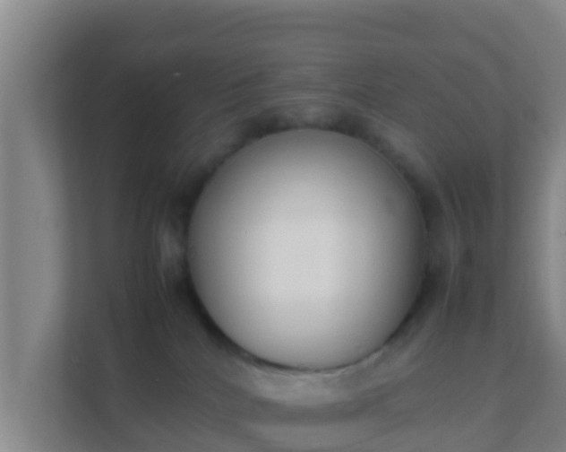 X0000111660040200907241200