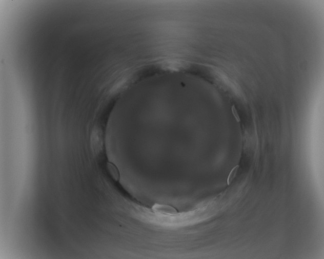 X0000111660043200907241200