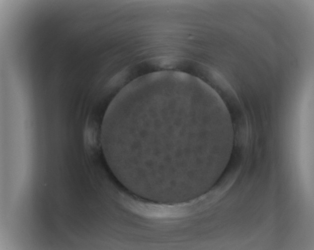 X0000111660044200907241200