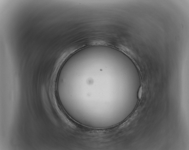 X0000111660049200907241200