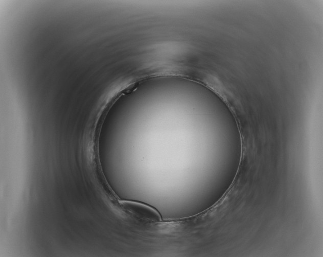 X0000111660050200907241200