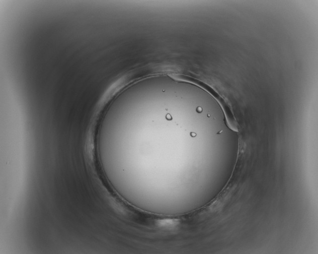 X0000111660053200907241200