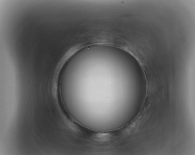 X0000111660055200907241200