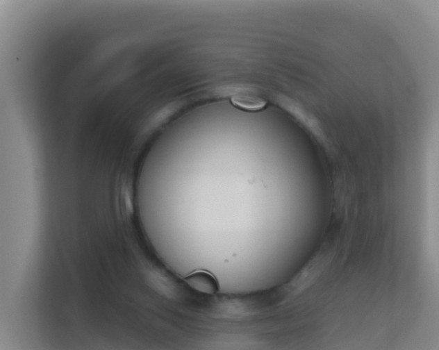 X0000111660062200907241200