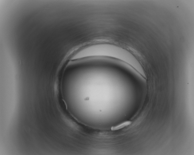 X0000111660064200907241200