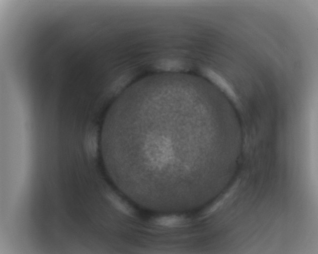 X0000111660065200907241200