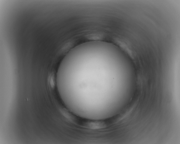 X0000111660069200907241200