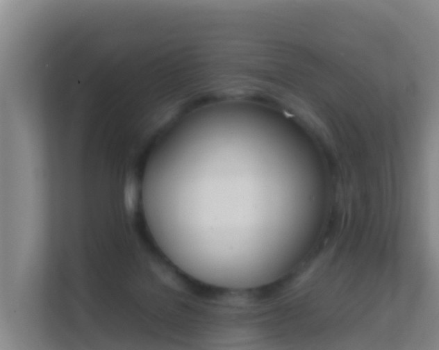 X0000111660076200907241200