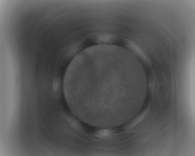 X0000111660079200907241200