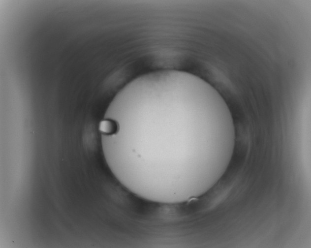 X0000111660080200907241200