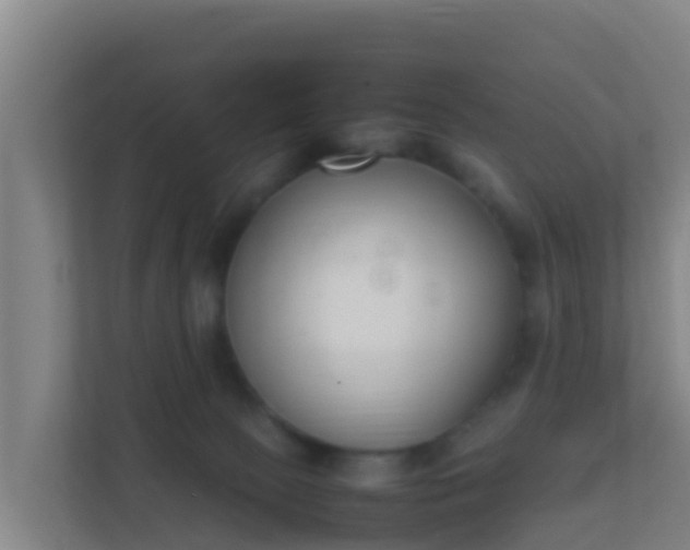 X0000111660081200907241200