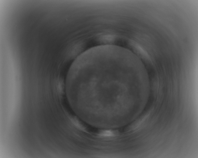 X0000111660083200907241200