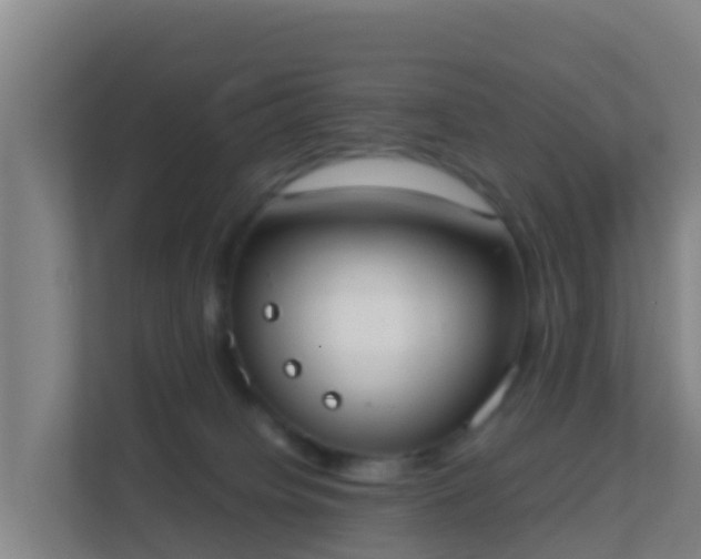 X0000111660084200907241200