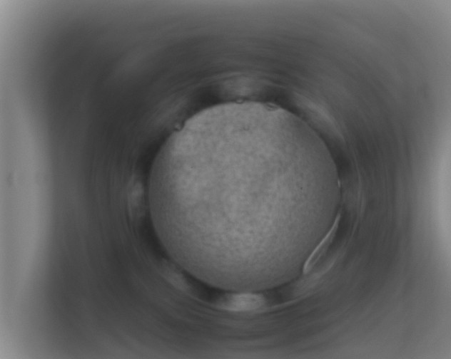 X0000111660087200907241200