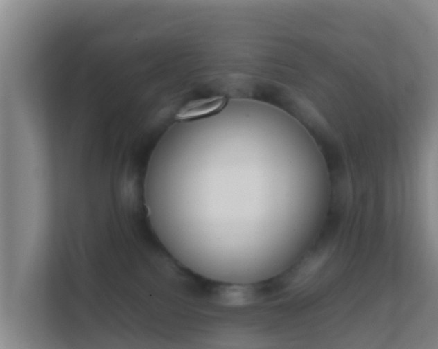 X0000111660088200907241200