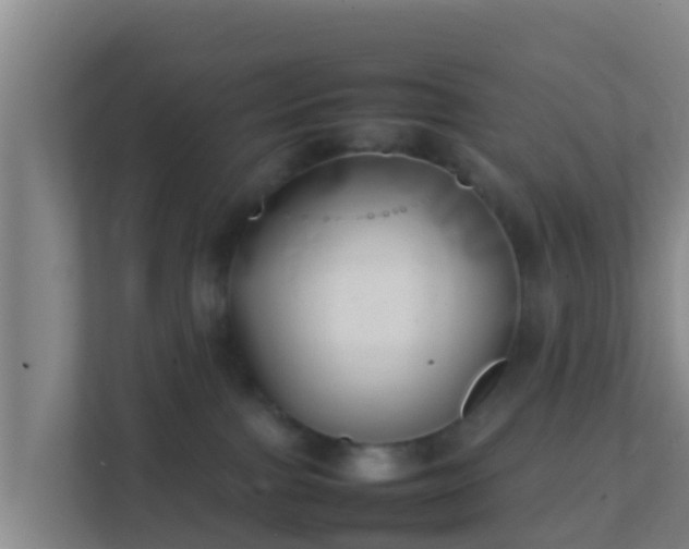 X0000111660091200907241200