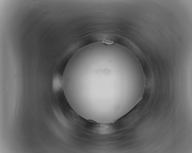 X0000111660095200907241200