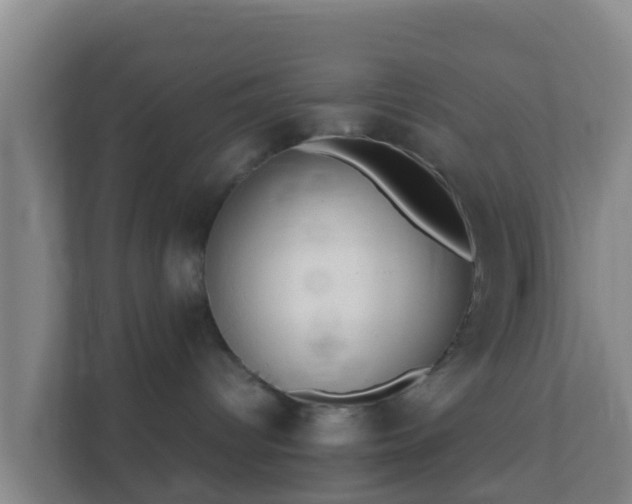 X0000111660096200907241200