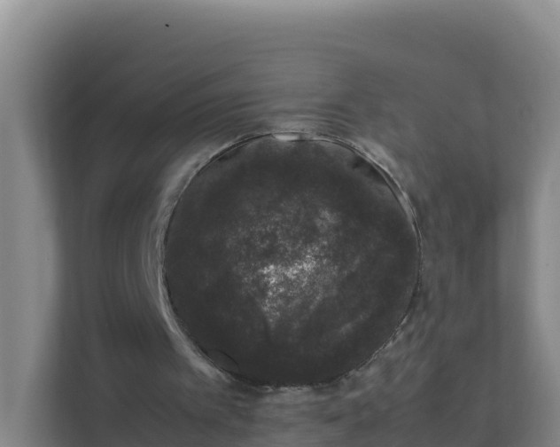 X0000111660097200907241200