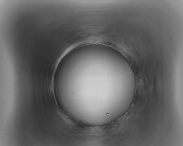 X0000111660100200907241200