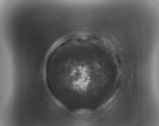 X0000111660101200907241200