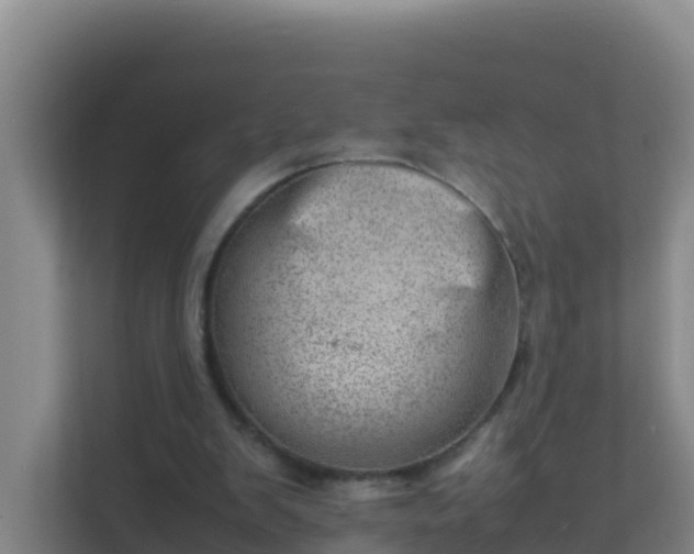 X0000111660103200907241200