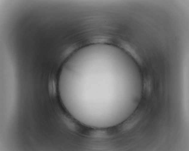 X0000111660110200907241159