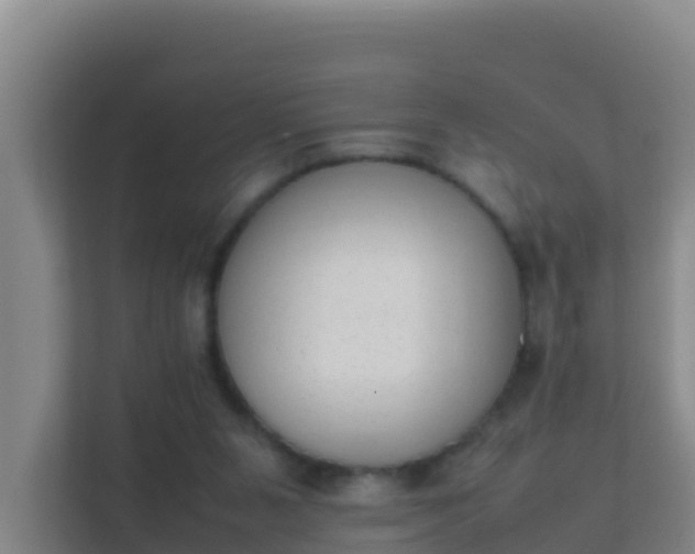 X0000111660111200907241159