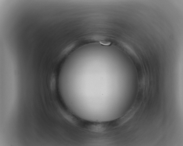 X0000111660120200907241159