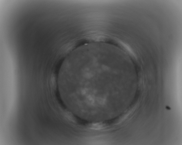 X0000111660121200907241159